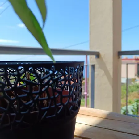 Casa - Peceful Mountain Retreat In Calheta Проживание в семье *